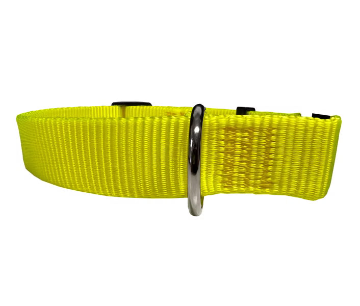 Radikale Halsband Florian