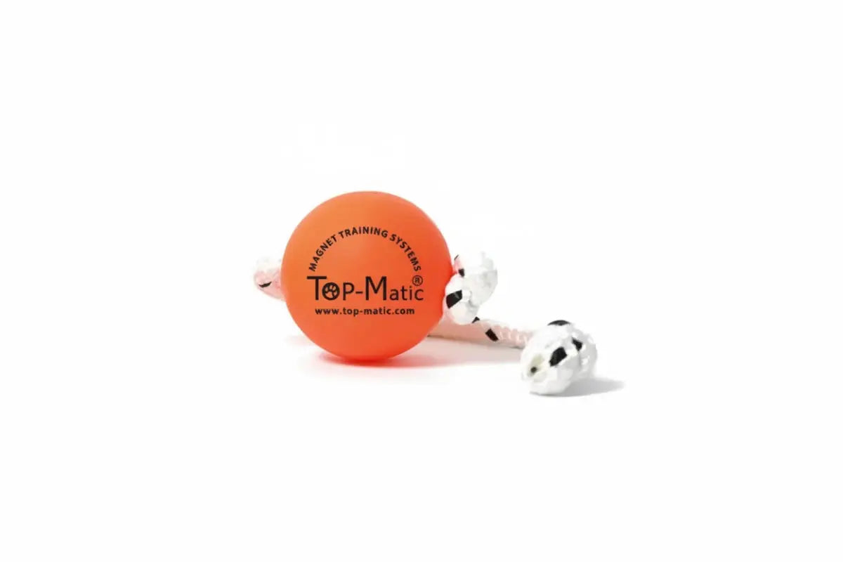 Top-Matic Fun Ball Magnetball für Hundetraining iljoke