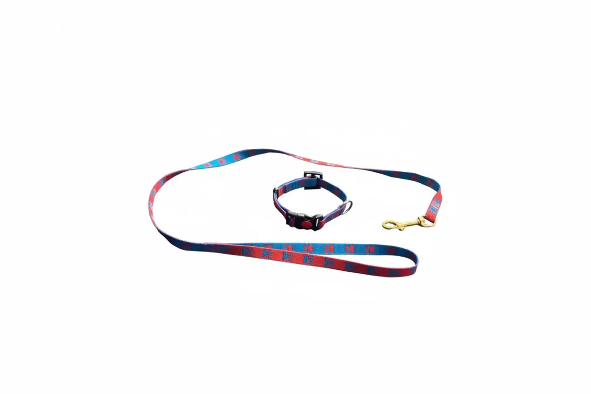 Welpenset Leine & Halsband iljoke