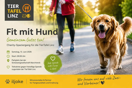 Fit mit Hund – Charity-Spaziergang 2026 | Rückblick