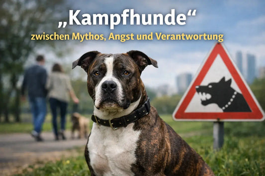 Blog-Kampfhunde-iljoke