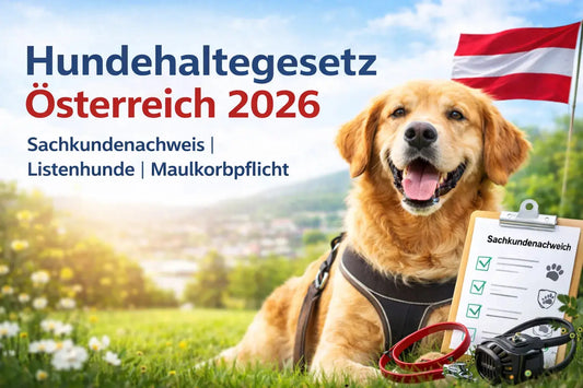 Golden Retriever mit österreichischer Flagge und Checkliste zum Sachkundenachweis – Titelbild zum Hundehaltegesetz Österreich 2026 mit Fokus auf Listenhunde und Maulkorbpflicht.