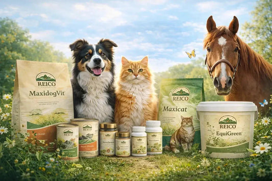 Reico Tiernahrung ohne künstliche Zusätze für Hunde Katzen und Pferde mit natürlichem Hundefutter Katzenfutter und Ergänzungen