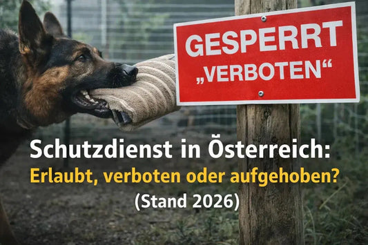 Schutzdienst Österreich Gesetz 2026: Was erlaubt ist und was verboten war - iljoke