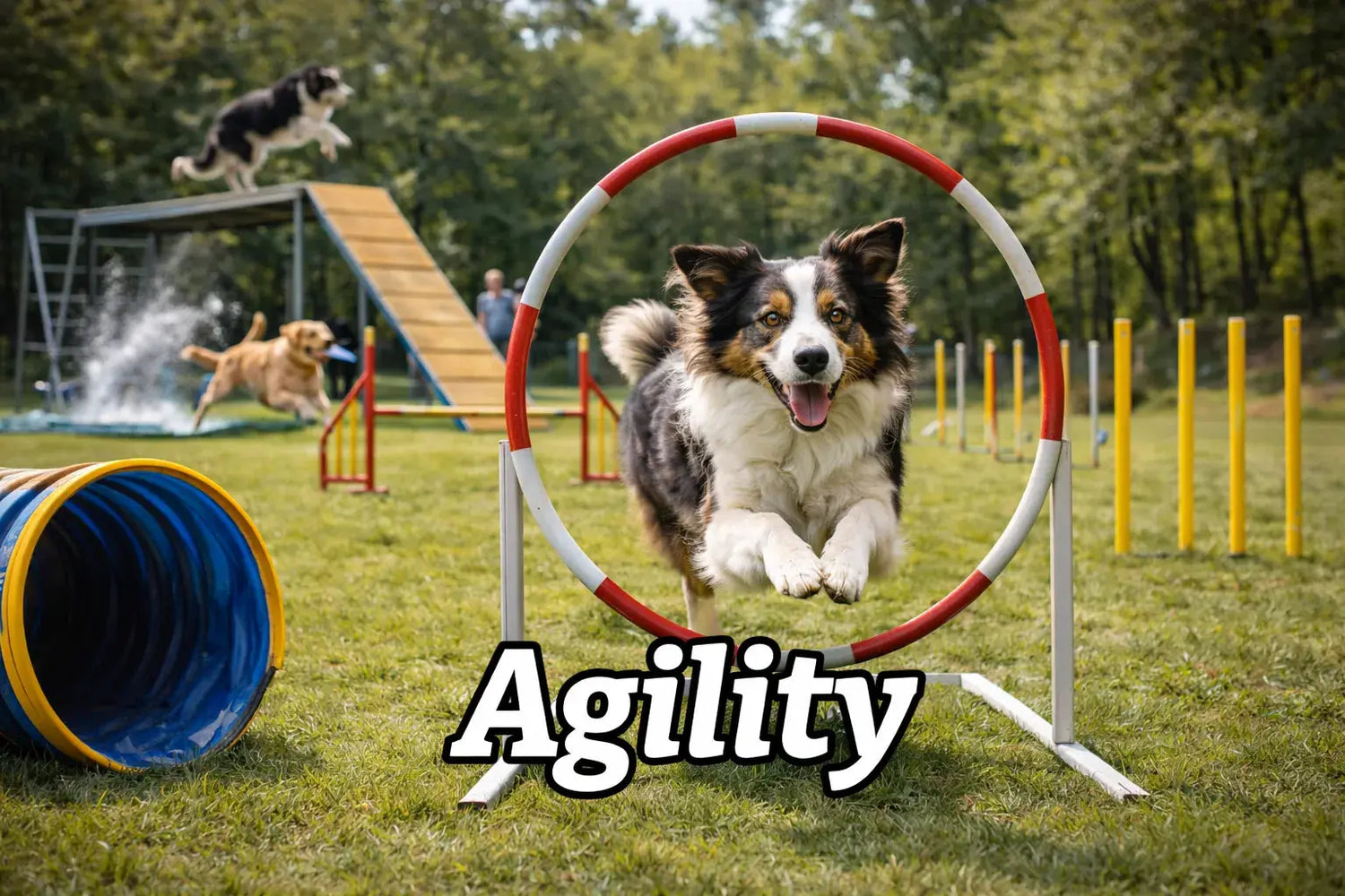 Agility iljoke