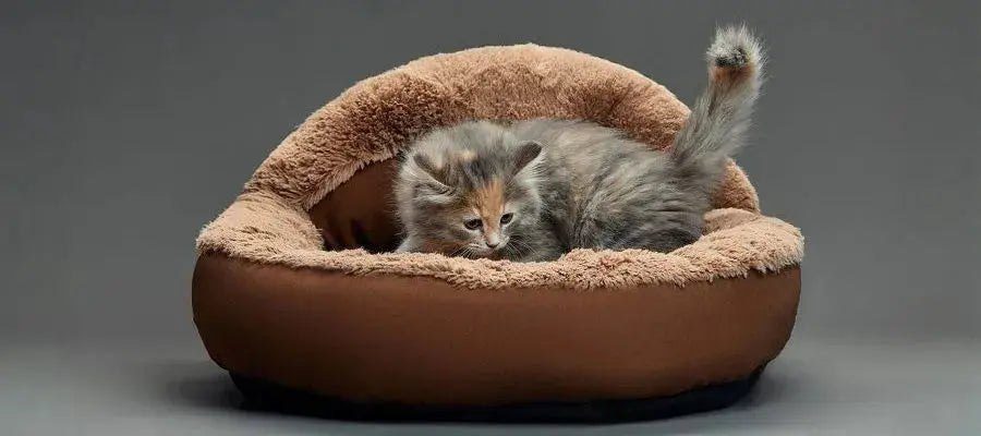 Komfort-Tierbetten iljoke