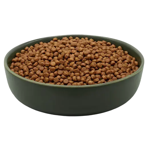 MAXiCAT Premium iljoke