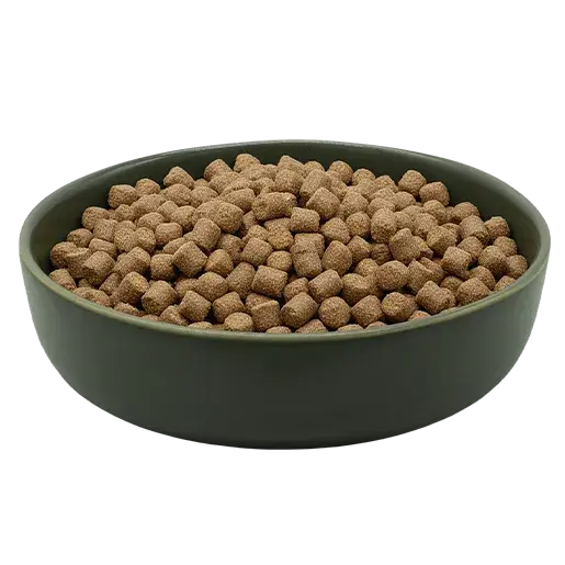 MAXiDOG Allround Champion iljoke