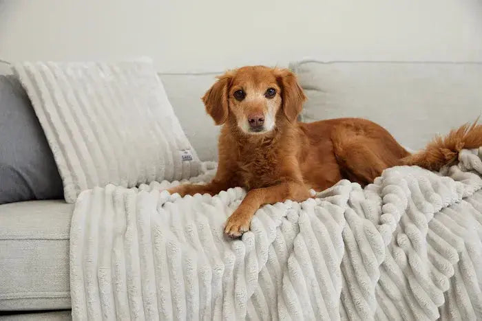Kuscheldecke Varme Breitcord von Sabro iljoke