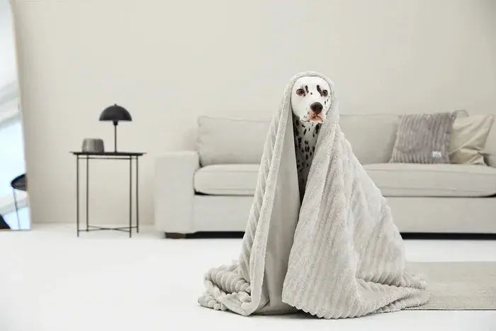 Kuscheldecke Varme Breitcord von Sabro iljoke