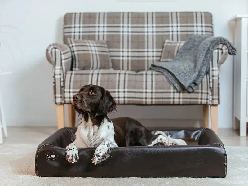 Hundebett KUDDE Kunstleder iljoke