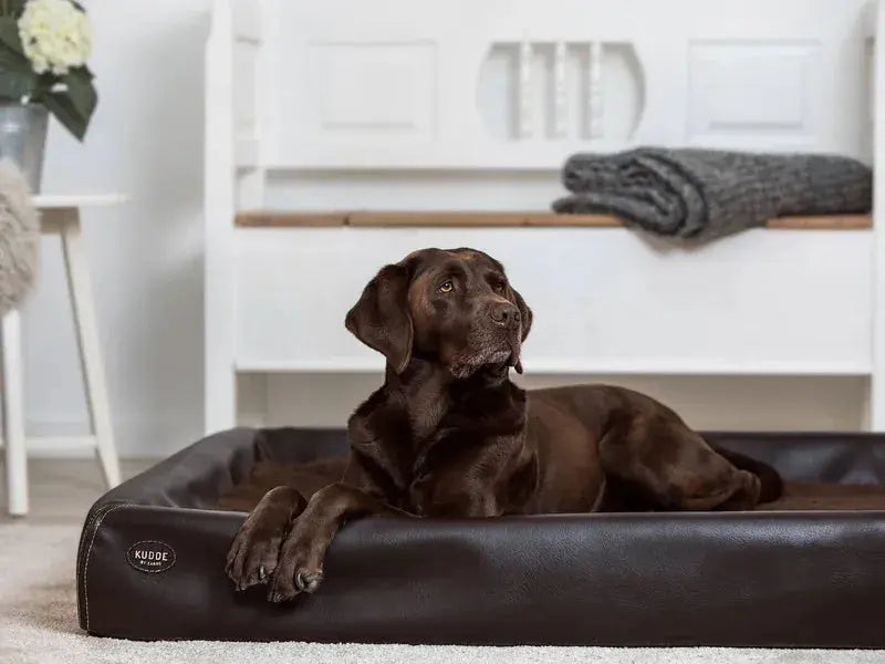 Hundebett KUDDE Kunstleder iljoke