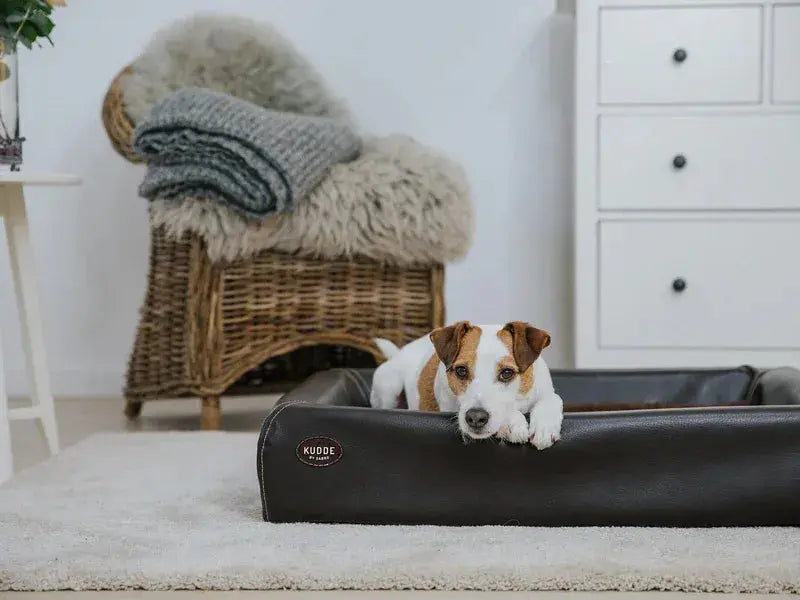 Hundebett KUDDE Kunstleder iljoke