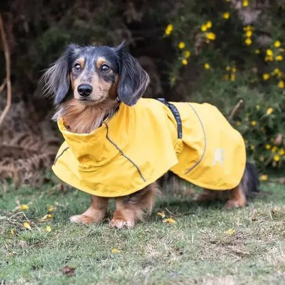 Rukka Pets Hayton Eco Regenmantel für Hunde iljoke