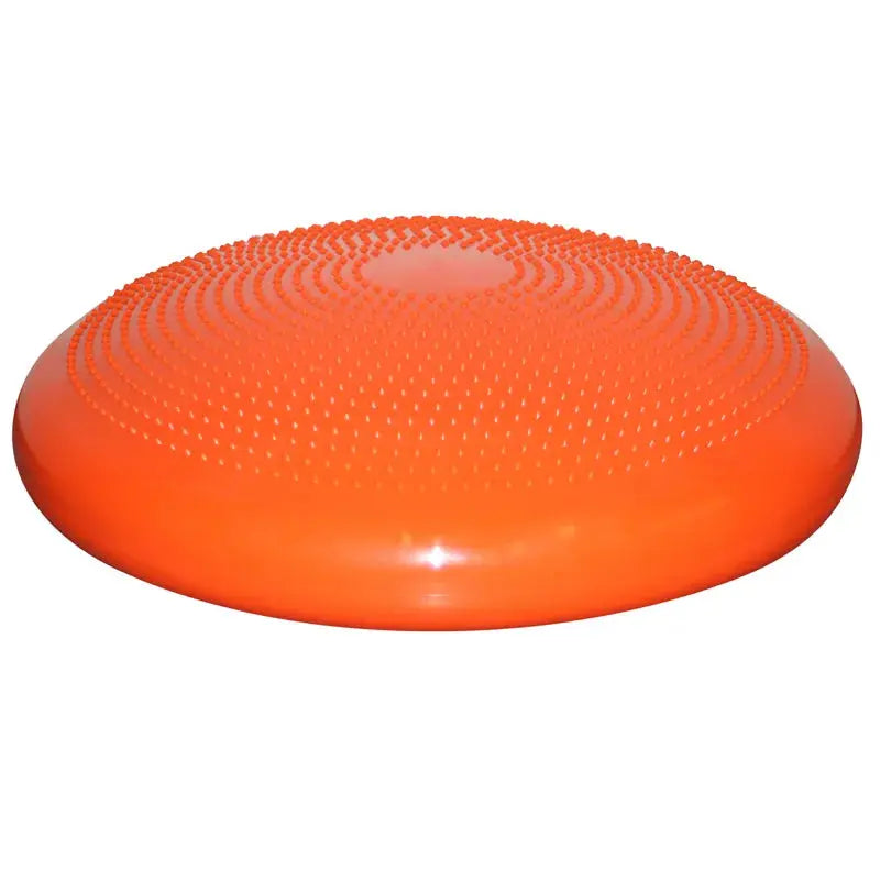 Gymnic® Disco Sport – Balance- & Koordinationstraining für Hunde iljoke