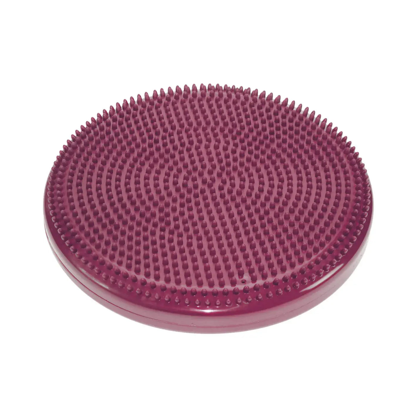 FitPAWS Balance Disc – Balance- und Koordinationstraining für Hunde iljoke