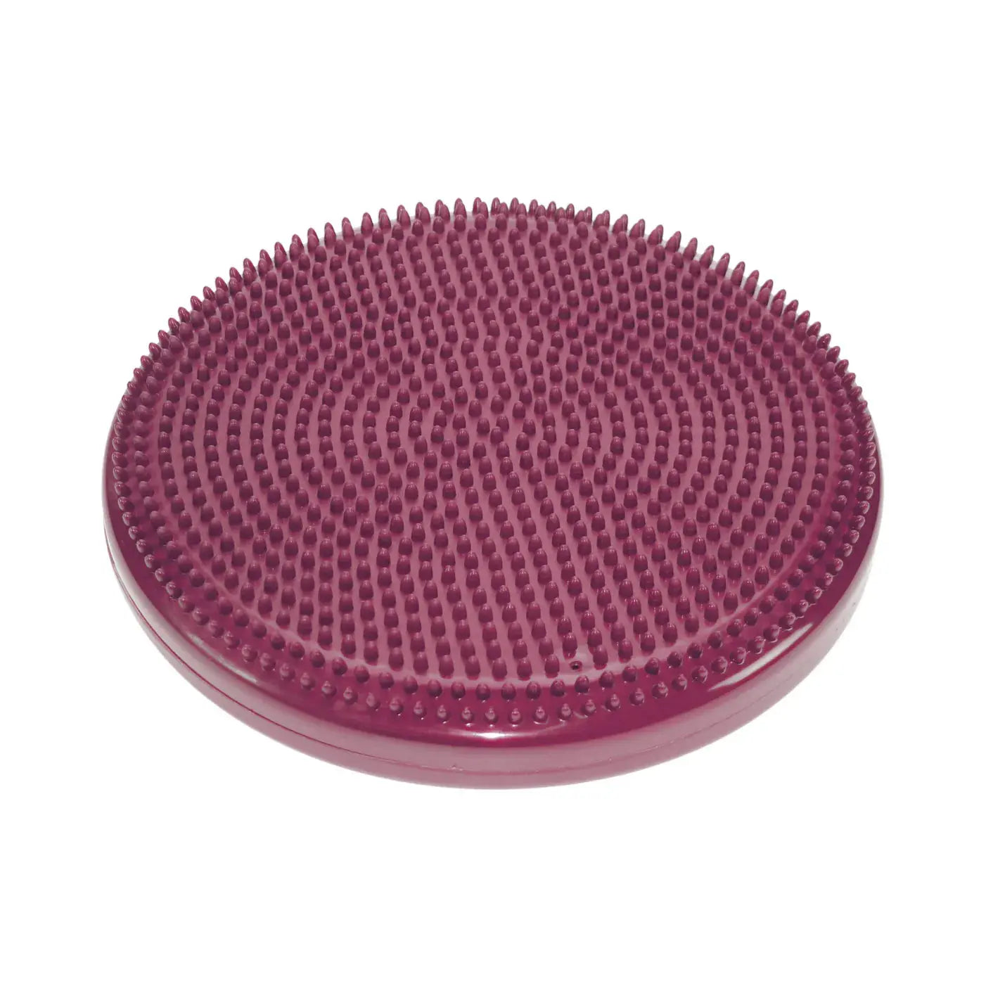 FitPAWS Balance Disc – Balance- und Koordinationstraining für Hunde iljoke