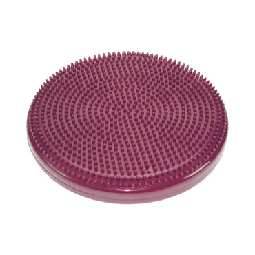 FitPAWS Balance Disc – Balance- und Koordinationstraining für Hunde iljoke