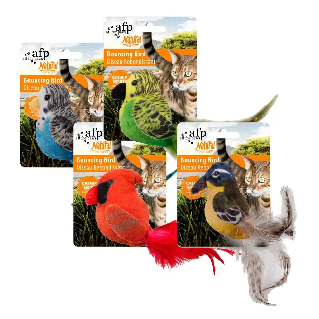 AFP Natural Instincts - Bouncing Bird iljoke