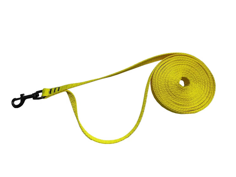 Spurleine Beginner 3M Florian