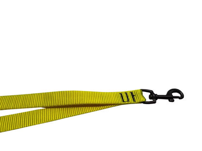 Spurleine Beginner 3M Florian