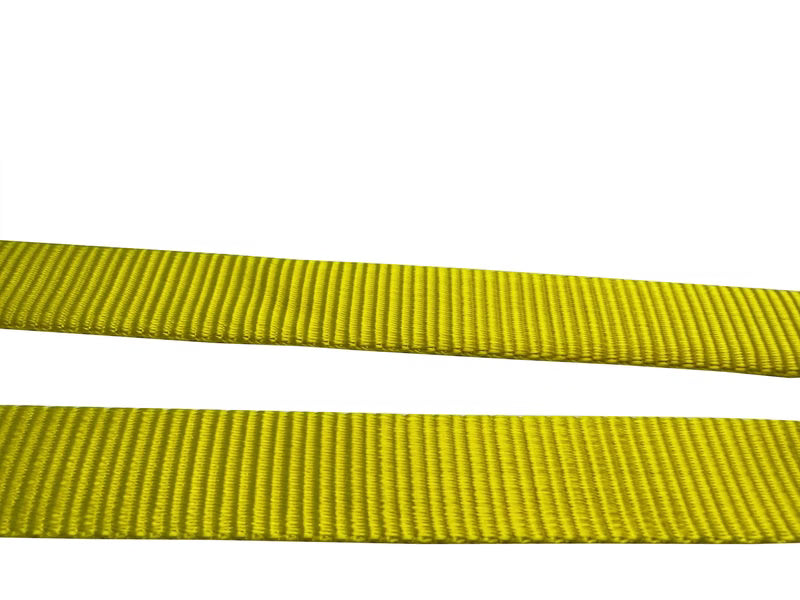 Spurleine Beginner 3M Florian