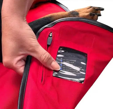 Magnetfelddecke für Hunde – BIOS Therapiedecke & Regeneration iljoke