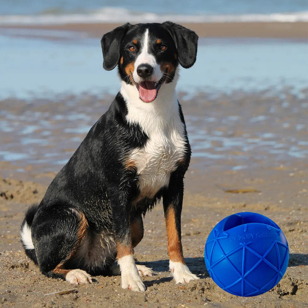 Moby Hundeball Größe L