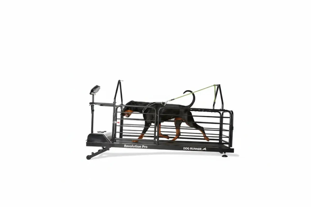 Dogrunner Revolution Pro iljoke