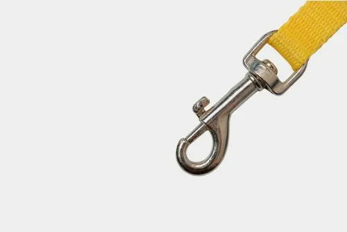 Nahaufnahme eines stabilen Metallhakens einer gelben Hundeleine