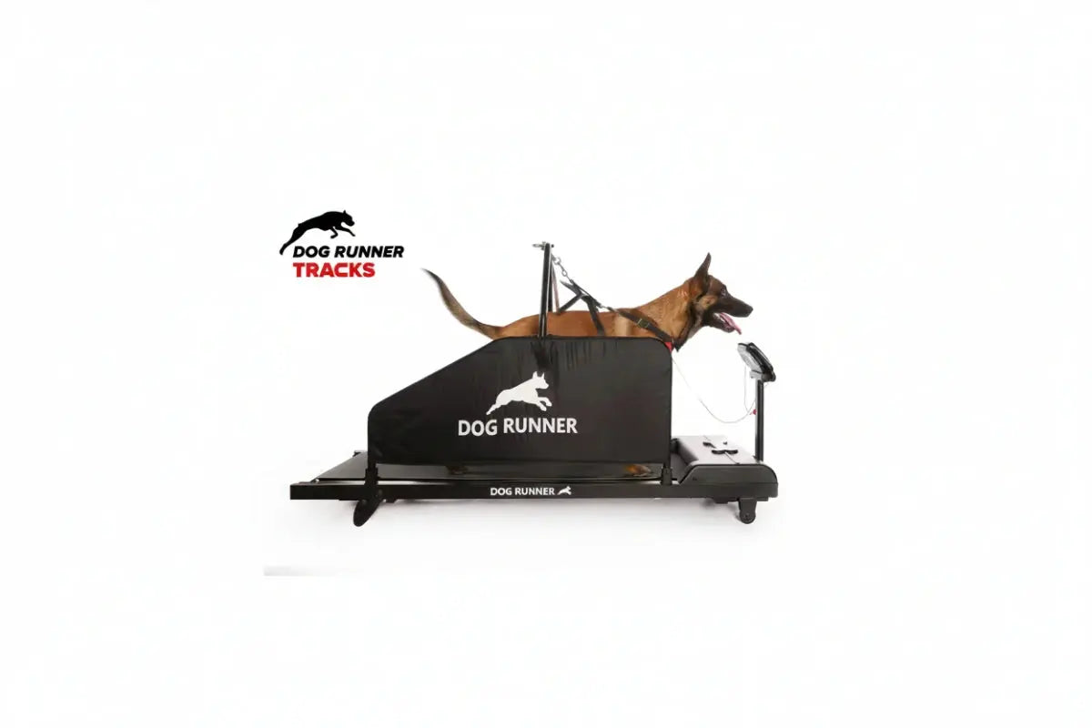 Dogrunner Tracks iljoke