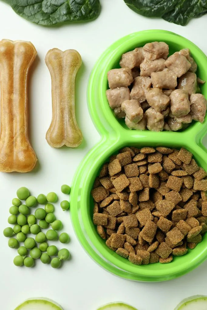 Grüne Schüssel mit Trocken- und Nassfutter, Knochen und Erbsen auf weißem Hintergrund