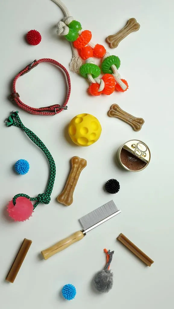 Haustierzubehör, Leckerlis und Spielzeug auf weißem Hintergrund arrangiert