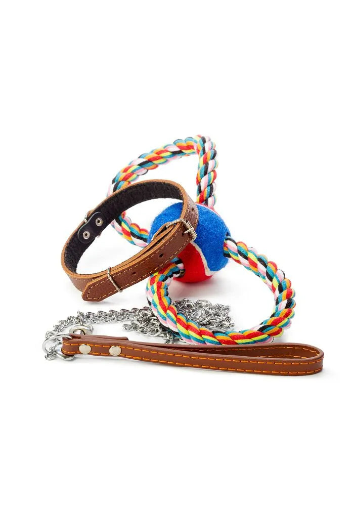 Lederhalsband, bunte Kordel und Spielball als Hundezubehör.