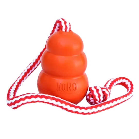 Kong-Spielzeug Aqua Florian