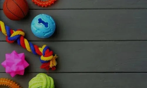 Verschiedene Hundespielzeuge wie Ball, Seil und Gummispielzeug auf grauem Holz.