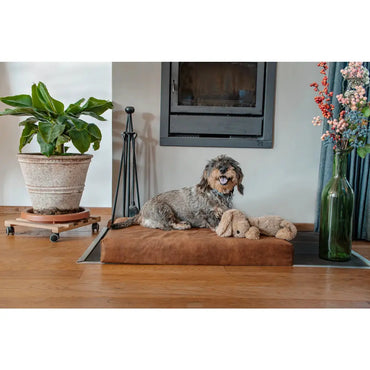 Let's Sleep Mellow-Matratze Orthopädisches Bett für Hunde Florian