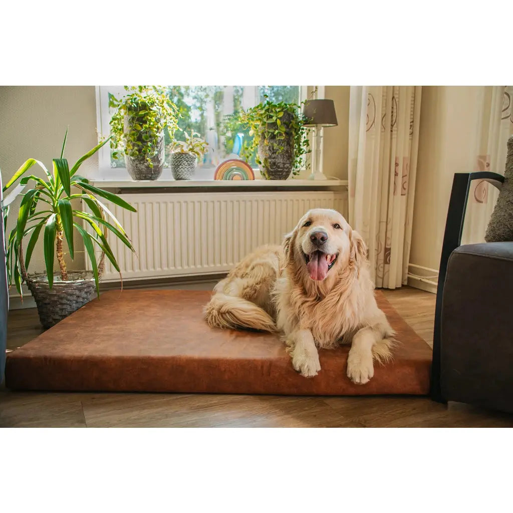 Let's Sleep Mellow-Matratze Orthopädisches Bett für Hunde Florian