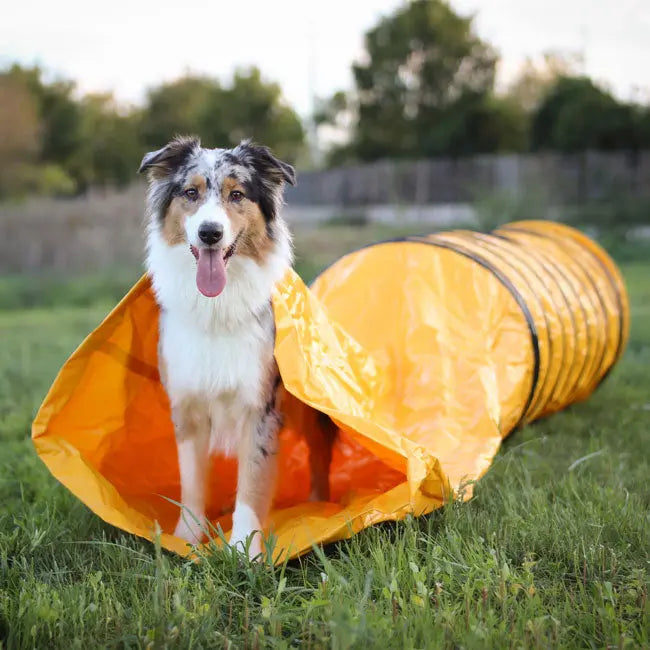 Beweglicher Agility Sacktunnel 3m iljoke