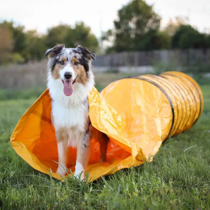 Beweglicher Agility Sacktunnel 3m iljoke