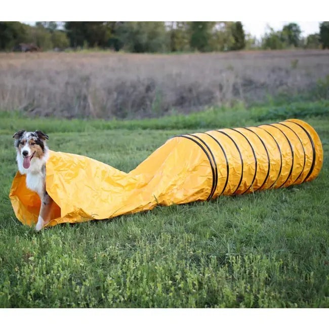 Beweglicher Agility Sacktunnel 3m iljoke