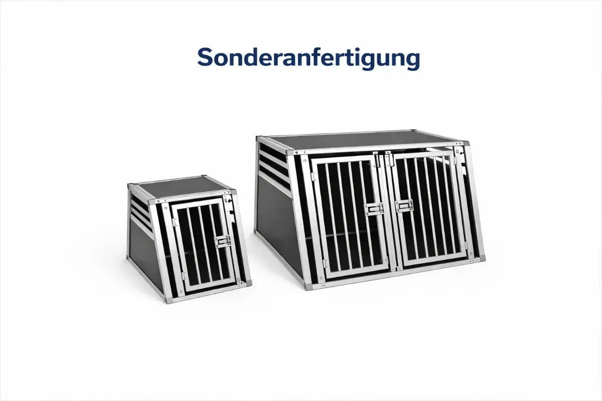 Hundetransportbox nach Maß – Einzel- & Doppelbox Sonderanfertigung für dein Fahrzeug iljoke
