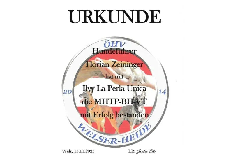 Urkunde des ÖHV für eine erfolgreich bestandene MHTP-BH-VT Prüfung mit Hund, ausgestellt für den geprüften Hundeführer und seinen Hund.
