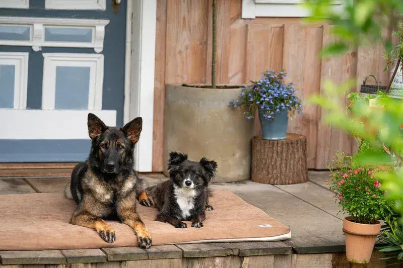 Hundeliegematte JOKKMOKK Alltid iljoke