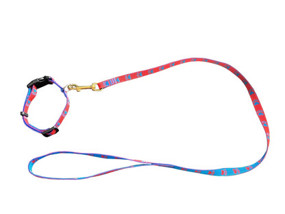 Welpenset Leine & Halsband Florian