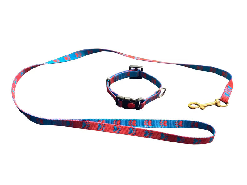 Welpenset Leine & Halsband Florian