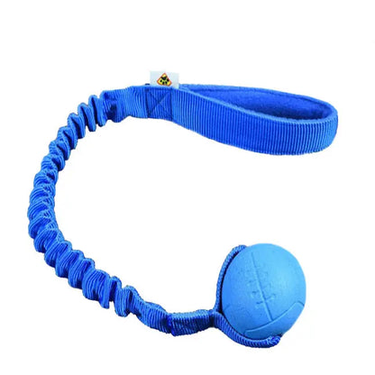 Hoko BASIC M Florian