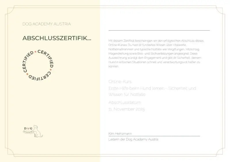 Zertifikat Erste Hilfe HUnd