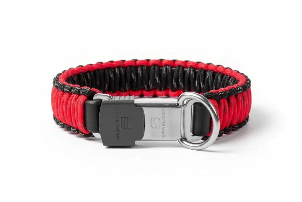 Paracord-Halsband reflektierend - mit ClicLock Verschluss (Edelstahl rostfrei) iljoke