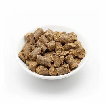 Reico MaxiDog Champion – Das Beste für Ihren Hund Reico